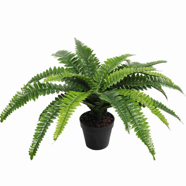 Artificial Potted Natural Green Boston Fern (50cm high 70cm wide).