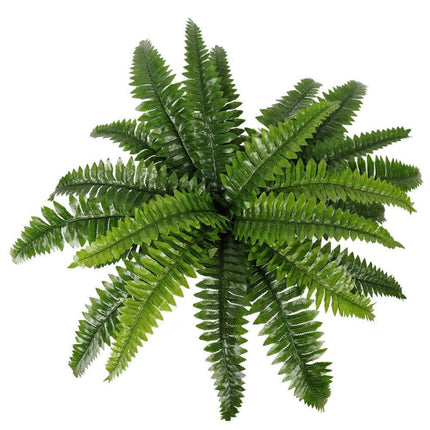 Artificial Potted Natural Green Boston Fern (50cm high 70cm wide).