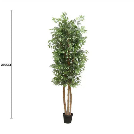 Large Custom Made Ficus Tree 250cm.