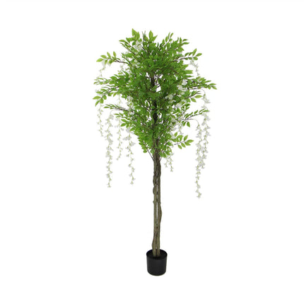 Flowering Artificial Wisteria with White Flowers 180cm.
