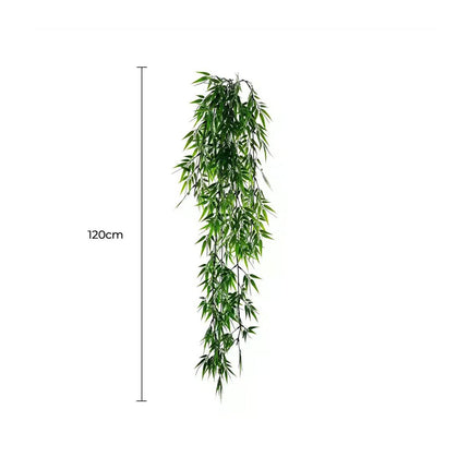 Home & Garden Cartoz.