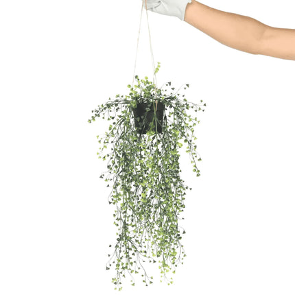 Artificial Hanging Pearls (Potted) 56cm UV Resistant.