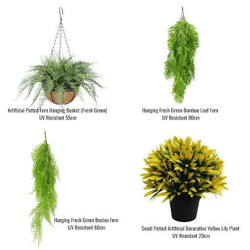 Hanging Basket, Ferns, and Small Potted Plant Bundle.