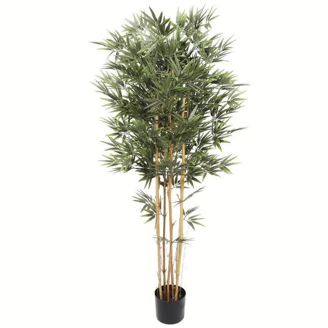 Premium Natural Cane Artificial Bamboo (UV Resistant) 150cm.