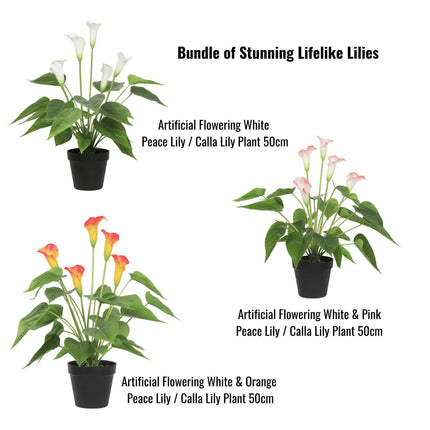 Stunning Lifelike Lilies Bundle.