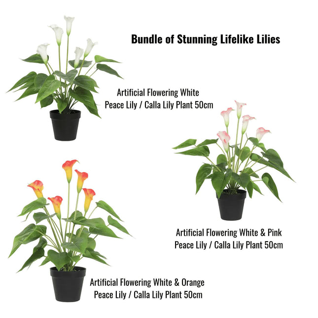 Stunning Lifelike Lilies Bundle.