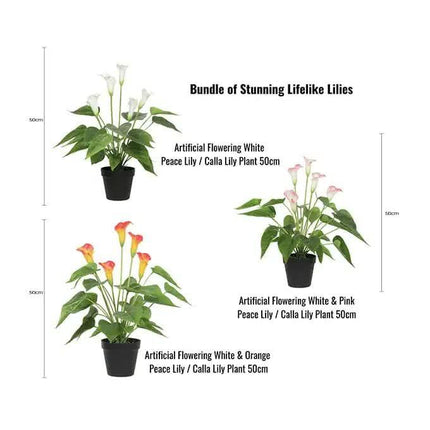 Stunning Lifelike Lilies Bundle.