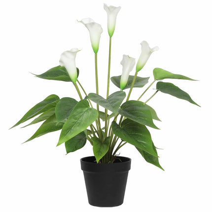 Stunning Lifelike Lilies Bundle.