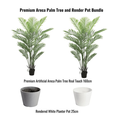 Premium Areca Palm Tree and Render Pot Bundle.