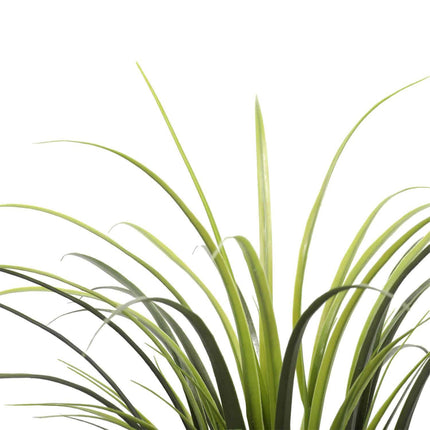 Potted Artificial Long Grass (Yucca Grass) 75cm UV Resistant.