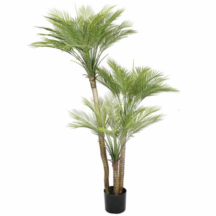 Artificial Parlour Palm Tree 180cm Multi Trunk UV Resistant.