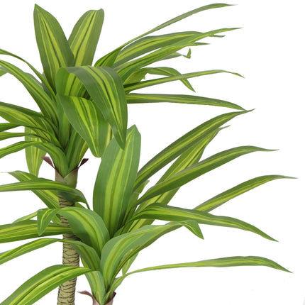 Artificial Multi Head Dracaena Tree with Mixed Green Leaves (Real Touch) 130cm.