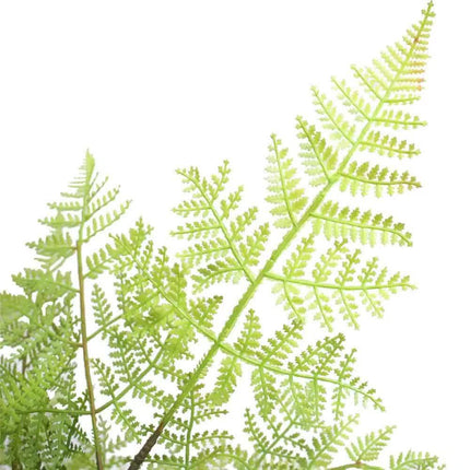 Faux Natural Fern Tree 90cm.