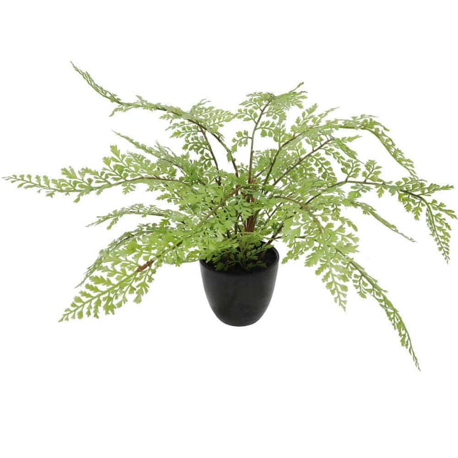 Faux Small Potted Fern 35cm.