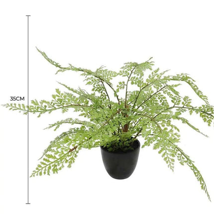 Faux Small Potted Fern 35cm.