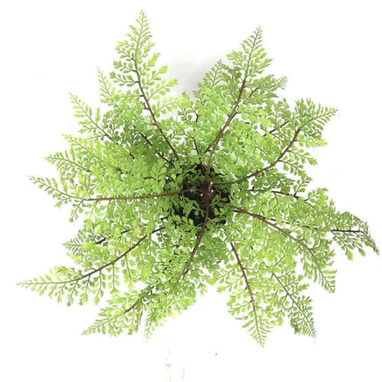 Faux Small Potted Fern 35cm.