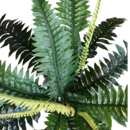 Artificial Dark Green Boston Fern 60cm.