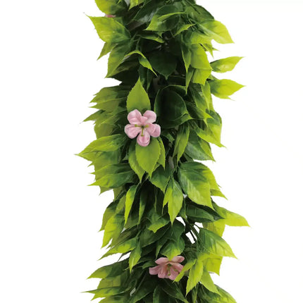 Home & Garden Cartoz.