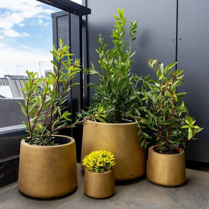 Elegant Gold Planters / Gold Pots Set of 4.