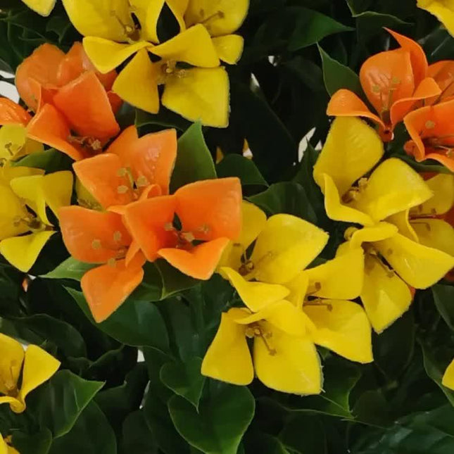 Home & Garden.