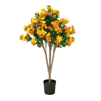 Flowering Yellow and Orange Bougainvillea Tree 120cm UV Resistant.