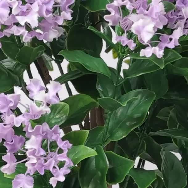 Home & Garden.