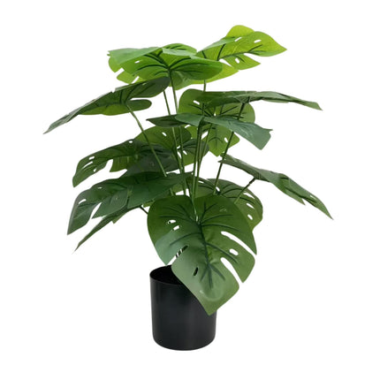 Artificial Potted Split Philodendron (Monstera) 50cm.