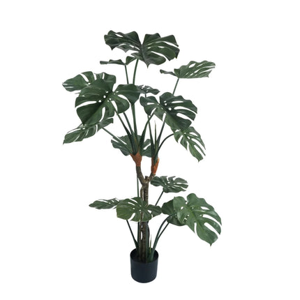 Premium Potted Monstera Split Leaf 150cm UV Resistant.