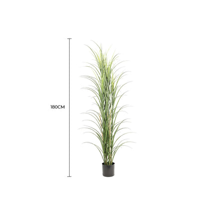 Premium Potted Artificial Long Grass (Yucca Grass / Reed Grass) 180cm UV Resistant.