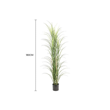 Premium Potted Artificial Long Grass (Yucca Grass / Reed Grass) 180cm UV Resistant.