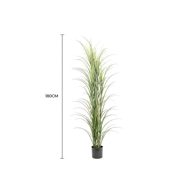 Premium Potted Artificial Long Grass (Yucca Grass / Reed Grass) 180cm UV Resistant.