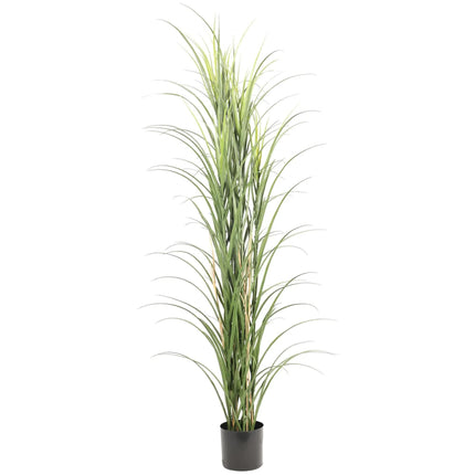 Premium Potted Artificial Long Grass (Yucca Grass / Reed Grass) 180cm UV Resistant.