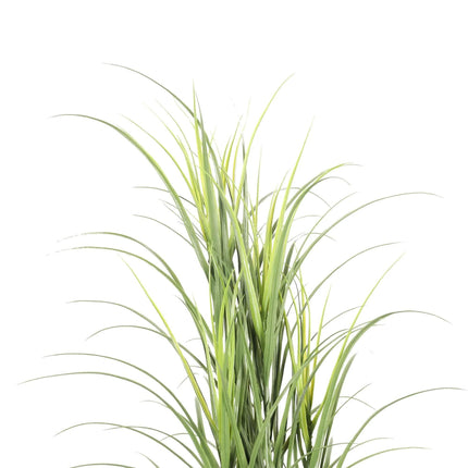 Premium Potted Artificial Long Grass (Yucca Grass / Reed Grass) 180cm UV Resistant.