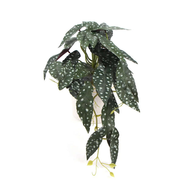 Artificial Begonia Maculata Plant In Decorative Bowl 30cm.