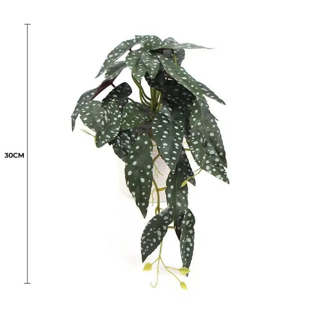 Artificial Begonia Maculata Plant In Decorative Bowl 30cm.