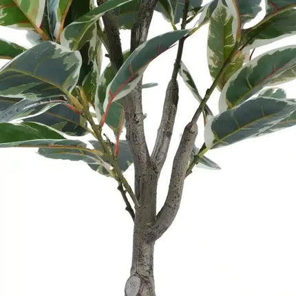 Artificial Bushy Variegated Ficus Tree (Rubber Tree) 120cm.