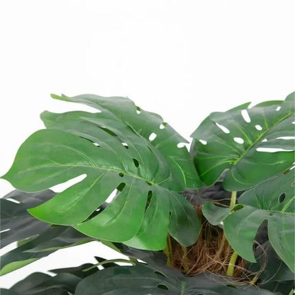 Premium Artificial Monstera Deliciosa Tree 100cm.