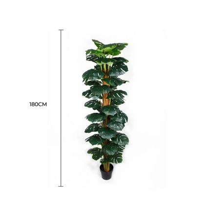 Artificial Monstera Adansonii Money Plant With Decorative Pot 180cm.