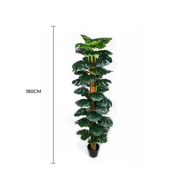 Artificial Monstera Adansonii Money Plant With Decorative Pot 180cm.