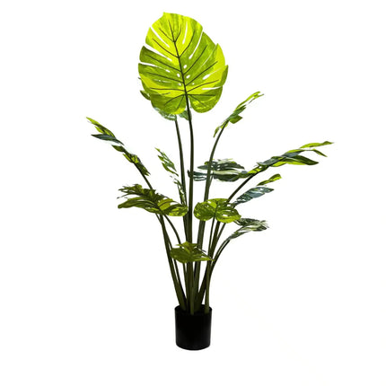 Premium Artificial Potted Monstera Albo 150cm.