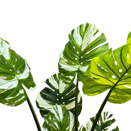 Premium Artificial Potted Monstera Albo 150cm.