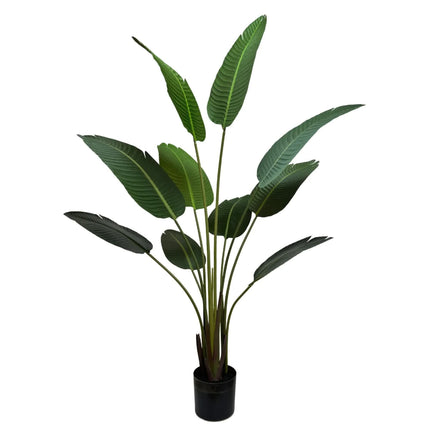 Grand Artificial Potted Travelers Palm (Banana Palm Tree) 160cm.