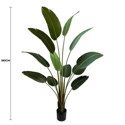 Grand Artificial Potted Travellers Palm (Banana Palm Tree) 180cm.