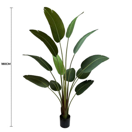Grand Artificial Potted Travellers Palm (Banana Palm Tree) 180cm.