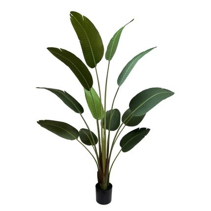 Grand Artificial Potted Travellers Palm (Banana Palm Tree) 180cm.