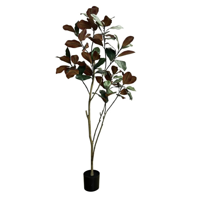 Potted Artificial 180cm Magnolia Tree.