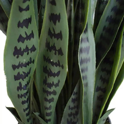 Artificial Snake Plant Sansevieria UV Resistant 90cm.