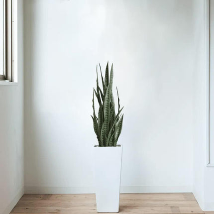 Artificial Snake Plant Sansevieria UV Resistant 90cm.
