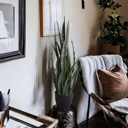 Artificial Snake Plant Sansevieria UV Resistant 90cm.