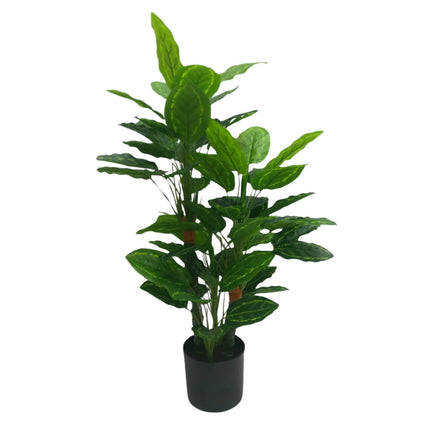 Premium Artificial Cordyline Fructicosa Green / Ti Plant 90cm.